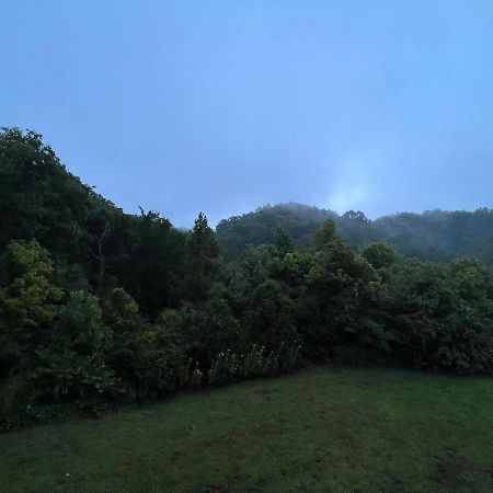 Southern Grace Sevierville Zewnętrze zdjęcie